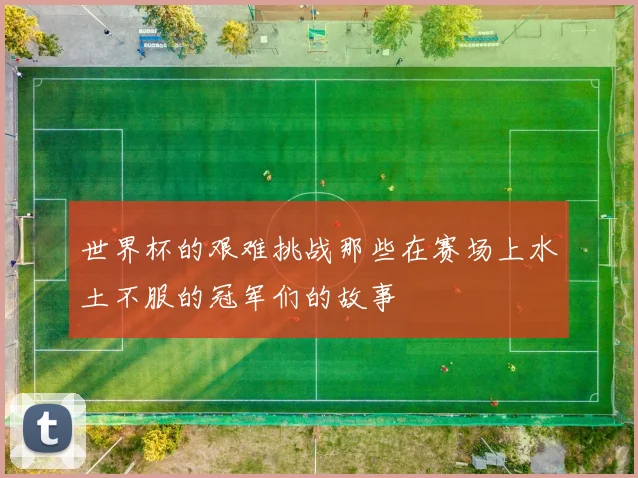 世界杯的艰难挑战那些在赛场上水土不服的冠军们的故事